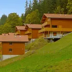 Racer's Retreat Apt-2 By Interhome Wengen